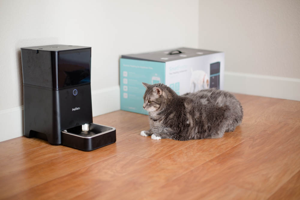 fat-cat-petnet